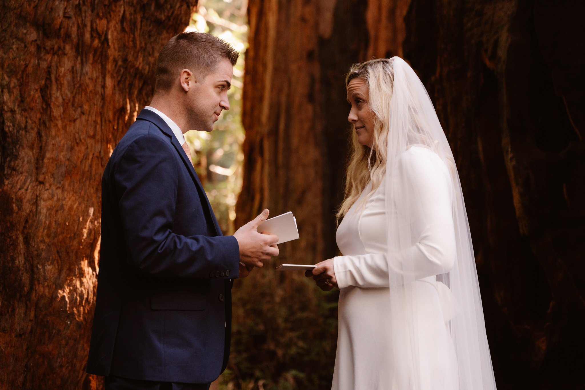 The couple faces each other, exchanging vows and holding hands inside the hollow of a giant redwood tree, with sunlight filtering through the forest.