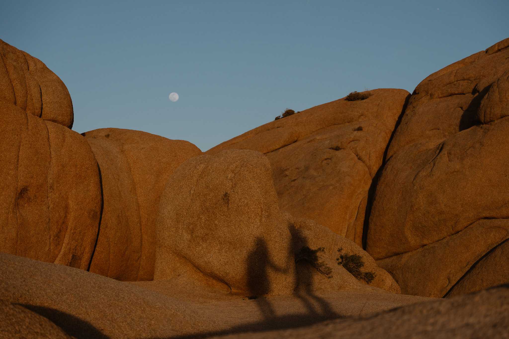The shadow of a couple embracing is cast upon the smooth, weathered surface of jumbo rocks at dusk, with a clear sky and the moon rising in the background
