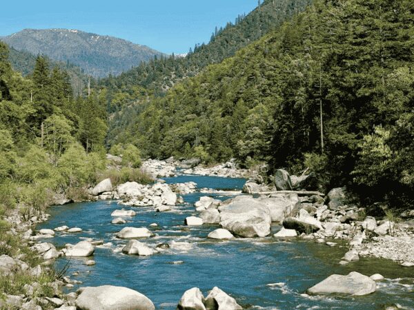 A flowing river surrounded by trees and boulders runs through Plumas National Forest.