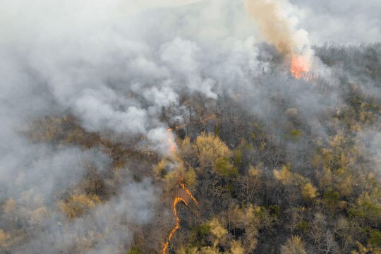 Aerial view of a wildfire burning through a forest, with thick smoke rising and flames visible along the tree line.